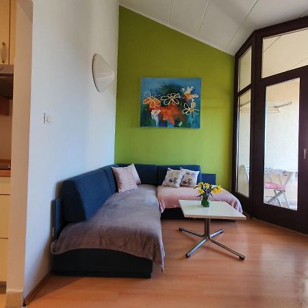 Janja Apartment Novigrad Istria Dış mekan fotoğraf