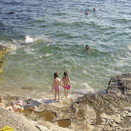 Janja Apartment Novigrad Istria Dış mekan fotoğraf