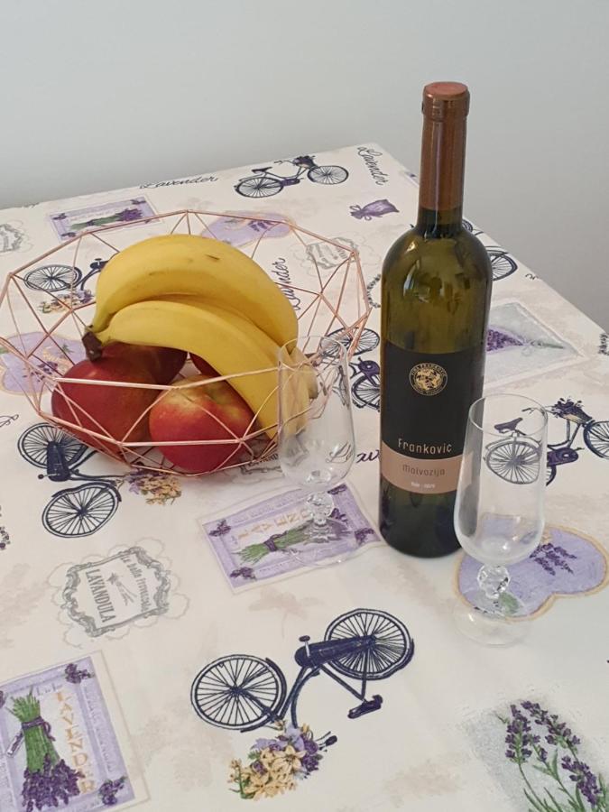 Janja Apartment Novigrad Istria Dış mekan fotoğraf