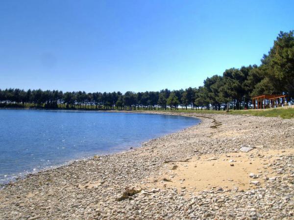 Janja Apartment Novigrad Istria Dış mekan fotoğraf