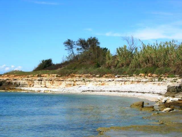 Janja Apartment Novigrad Istria Oda fotoğraf